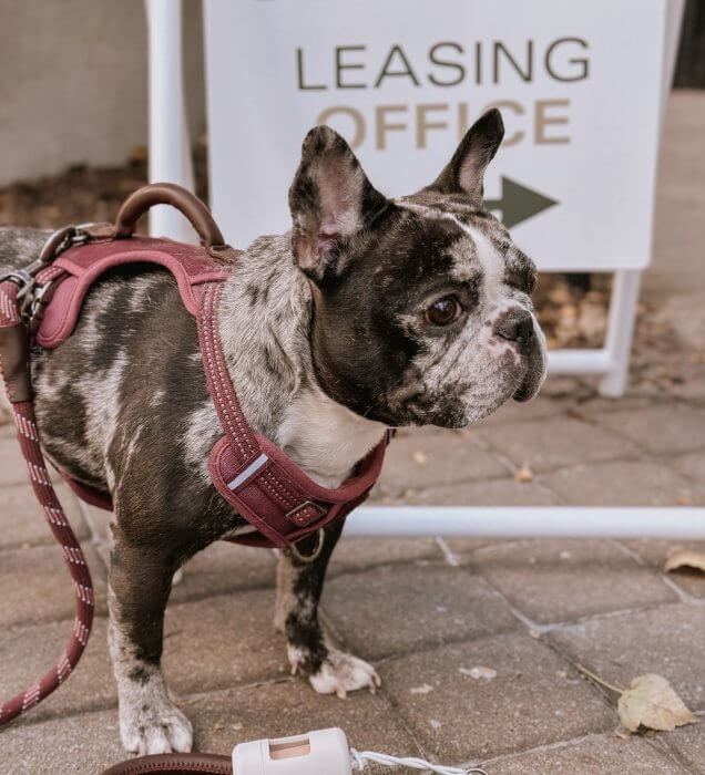 Taylor Woods' 5-Year Journey at Cardinal Boujie 636x700 - Taylor Woods' 5-Year Journey at Cardinal